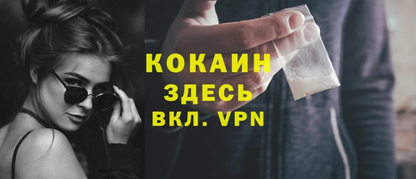 ешки Бородино