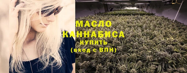 ешки Бородино