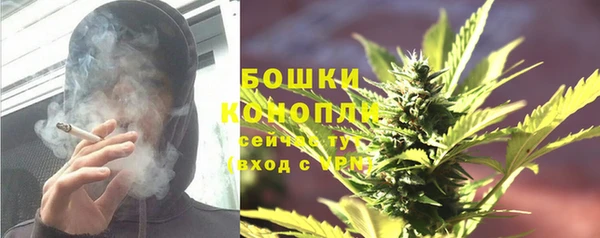 ешки Бородино