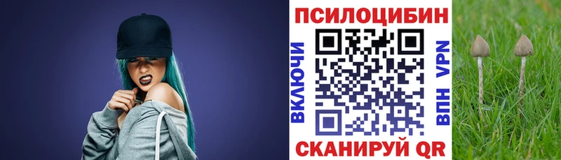 Галлюциногенные грибы прущие грибы  наркошоп  Судак 